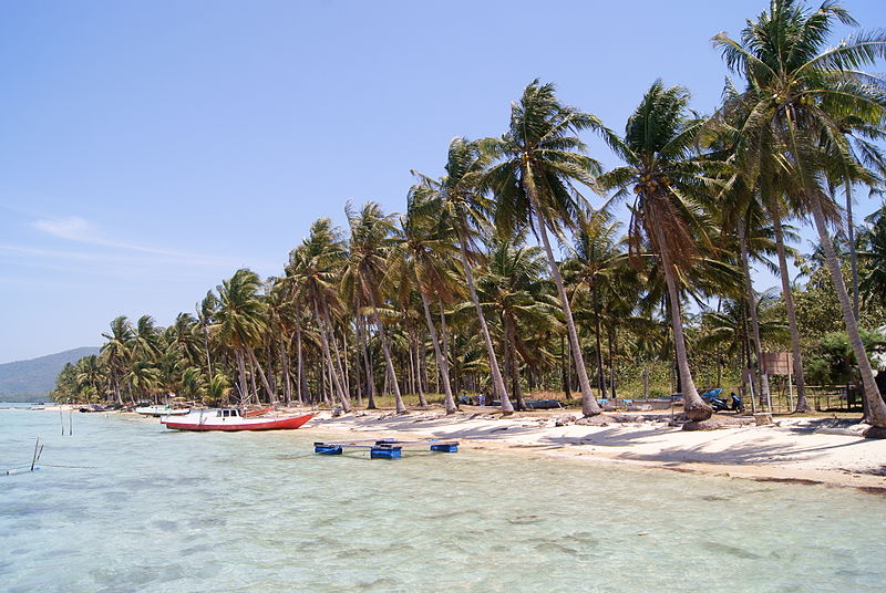 diving-dan-snorkeling-karimunjawa