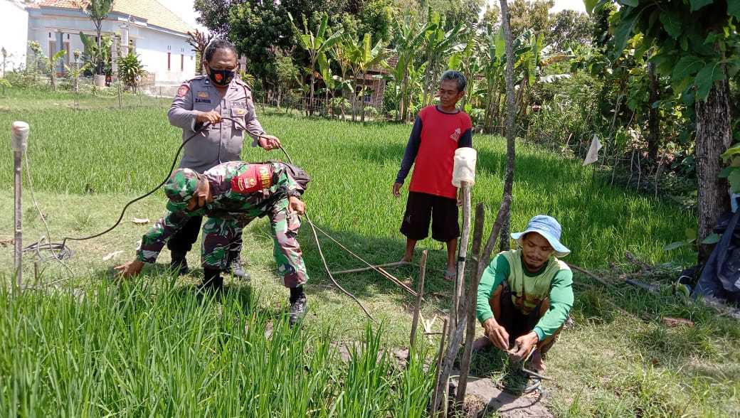 Pelepasan Jebakan Tikus Persawahan Warga Kecamatan Ngrampal Sragen