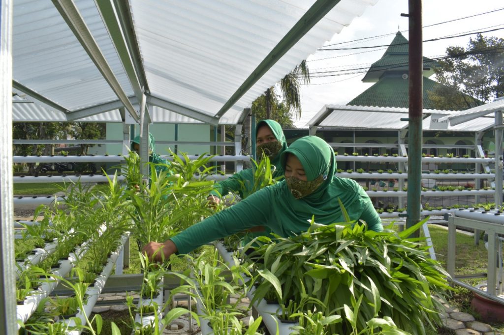 Persit Kartika Chandra Kirana Koorcab Rem 071 PD IV/Diponegoro tengah memanen hasil tanaman hidroponik yang mereka tanam untuk ketahanan pangan selama pandemi Covid-19. PRIE LingkarTV/LINGKAR.CO