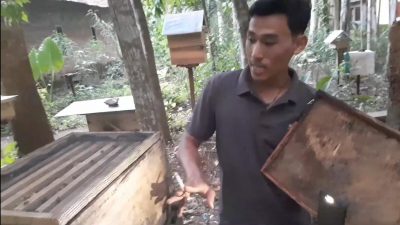 Luthfi Asal Lubangkidul Purworejo, Raup Cuan dari Budidaya Lebah. dok pribadi/Lingkar.co